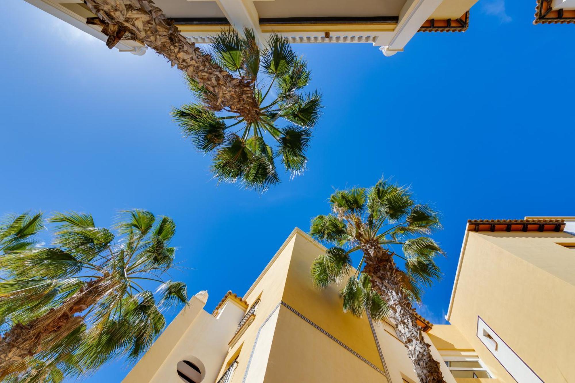 Premium Apartment Beach Aldea Del Mar تورّيفيِخا المظهر الخارجي الصورة